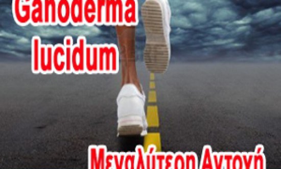 Γανόδερμα – Η Υπερτροφή του 21ου αιώνα