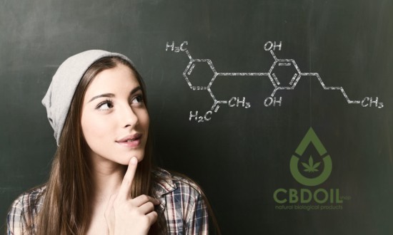 &Tau;&alpha; &epsilon;&upsilon;&epsilon;&rho;&gamma;&epsilon;&tau;&iota;&kappa;ά &omicron;&phi;έ&lambda;&eta; &tau;&omicron;&upsilon; CBD &gamma;&iota;&alpha; &tau;&iota;&sigmaf; &gamma;&upsilon;&nu;&alpha;ί&kappa;&epsilon;&sigmaf;
