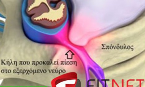 &Omicron;&sigma;&phi;&upsilon;ϊ&kappa;ή &delta;&iota;&sigma;&kappa;&omicron;&kappa;ή&lambda;&eta; / &kappa;ή&lambda;&eta; &mu;&epsilon;&sigma;&omicron;&sigma;&pi;&omicron;&nu;&delta;&upsilon;&lambda;ί&omicron;&upsilon; &delta;ί&sigma;&kappa;&omicron;&upsilon; by Fitnet team