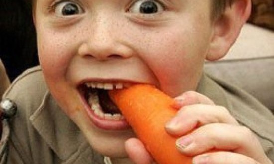 Έ&tau;&rho;&omega;&gamma;&alpha;&nu; &gamma;&iota;&alpha; 1,5 &pi;&epsilon;&pi;ό&nu;&iota;&alpha;, &kappa;&alpha;&rho;ό&tau;&alpha;, &sigma;&pi;&alpha;&nu;ά&kappa;&iota; &kappa;&alpha;&iota; &mu;&pi;&rho;ό&kappa;&omicron;&lambda;&omicron;! &Delta;&epsilon;ί&tau;&epsilon; &pi;ώ&sigmaf; έ&gamma;&iota;&nu;&alpha;&nu;... (photos)