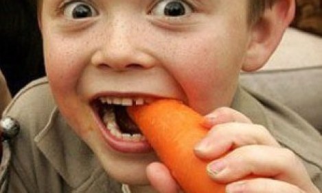 Έ&tau;&rho;&omega;&gamma;&alpha;&nu; &gamma;&iota;&alpha; 1,5 &pi;&epsilon;&pi;ό&nu;&iota;&alpha;, &kappa;&alpha;&rho;ό&tau;&alpha;, &sigma;&pi;&alpha;&nu;ά&kappa;&iota; &kappa;&alpha;&iota; &mu;&pi;&rho;ό&kappa;&omicron;&lambda;&omicron;! &Delta;&epsilon;ί&tau;&epsilon; &pi;ώ&sigmaf; έ&gamma;&iota;&nu;&alpha;&nu;... (photos)