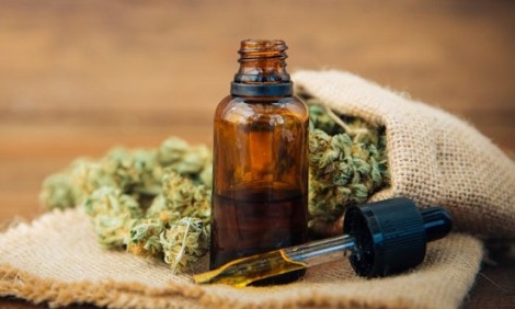 Η επιστήμη εξηγεί πώς η κάνναβη σκοτώνει τα καρκινικά κύτταρα!