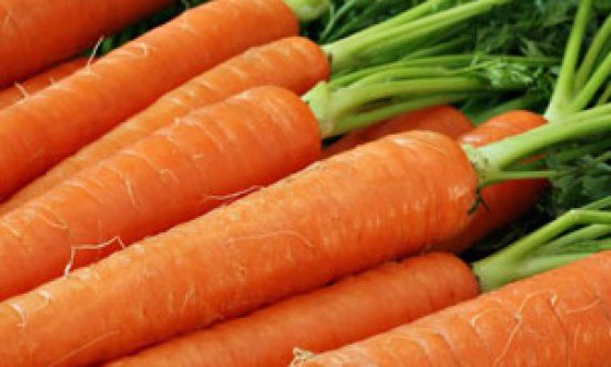 Το καρότο «γεννά» υγιή σπερματοζωάρια