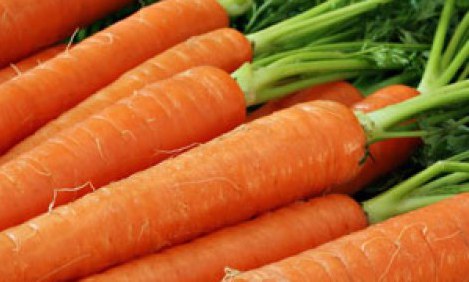 &Tau;&omicron; &kappa;&alpha;&rho;ό&tau;&omicron; &laquo;&gamma;&epsilon;&nu;&nu;ά&raquo; &upsilon;&gamma;&iota;ή &sigma;&pi;&epsilon;&rho;&mu;&alpha;&tau;&omicron;&zeta;&omega;ά&rho;&iota;&alpha;