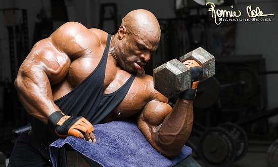 &Omicron; &mu;&epsilon;&gamma;&alpha;&lambda;ύ&tau;&epsilon;&rho;&omicron;&sigmaf; bodybuilder &tau;&omicron;&upsilon; &kappa;ό&sigma;&mu;&omicron;&upsilon; έ&chi;&epsilon;&iota; έ&nu;&alpha; &pi;&rho;ό&gamma;&rho;&alpha;&mu;&mu;&alpha; &tau;&alpha;&chi;&epsilon;ί&alpha;&sigmaf; &upsilon;&pi;&epsilon;&rho;&tau;&rho;&omicron;&phi;ί&alpha;&sigmaf;