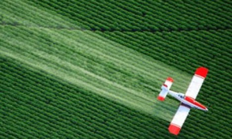 T&alpha; 10 &tau;&rho;ό&phi;&iota;&mu;&alpha; &pi;&omicron;&upsilon; &delta;έ&chi;&omicron;&nu;&tau;&alpha;&iota; &beta;&rho;&omicron;&chi;ή &alpha;&pi;ό &phi;&upsilon;&tau;&omicron;&phi;ά&rho;&mu;&alpha;&kappa;&alpha;