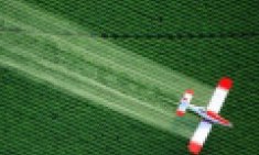 T&alpha; 10 &tau;&rho;ό&phi;&iota;&mu;&alpha; &pi;&omicron;&upsilon; &delta;έ&chi;&omicron;&nu;&tau;&alpha;&iota; &beta;&rho;&omicron;&chi;ή &alpha;&pi;ό &phi;&upsilon;&tau;&omicron;&phi;ά&rho;&mu;&alpha;&kappa;&alpha;