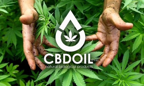 Βρώσιμο λάδι κάνναβης: Το θρεπτικό έλαιο που χρειάζεσαι άμεσα