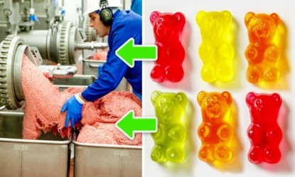 12 &mu;&upsilon;&sigma;&tau;&iota;&kappa;ά &tau;&eta;&sigmaf; &beta;&iota;&omicron;&mu;&eta;&chi;&alpha;&nu;ί&alpha;&sigmaf; &phi;&alpha;&gamma;&eta;&tau;&omicron;ύ &pi;&omicron;&upsilon; &delta;&epsilon; &theta;&epsilon;&sigmaf; &nu;&alpha; &tau;&alpha; &mu;ά&theta;&epsilon;&iota;&sigmaf;