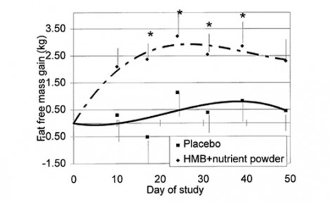 Η συμβολή του ΗΜΒ στη μυϊκή ανάπτυξη