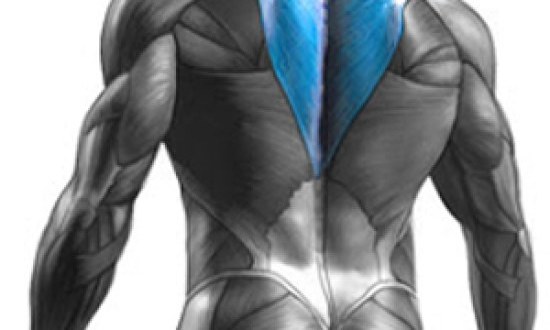 &Alpha;&sigma;&kappa;ή&sigma;&epsilon;&iota;&sigmaf; &gamma;&iota;&alpha; &tau;&rho;&alpha;&pi;&epsilon;&zeta;&omicron;&epsilon;&iota;&delta;&epsilon;ί&sigmaf;