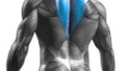 &Alpha;&sigma;&kappa;ή&sigma;&epsilon;&iota;&sigmaf; &gamma;&iota;&alpha; &tau;&rho;&alpha;&pi;&epsilon;&zeta;&omicron;&epsilon;&iota;&delta;&epsilon;ί&sigmaf;