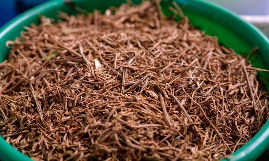 &Lambda;ί&gamma;&omicron; Ashwaganda &tau;&eta;&nu; &eta;&mu;έ&rho;&alpha;, &tau;&omicron; &chi;&rho;ό&nu;&iota;&omicron; &sigma;&tau;&rho;&epsilon;&sigmaf; &kappa;ά&nu;&epsilon;&iota; &pi;έ&rho;&alpha;