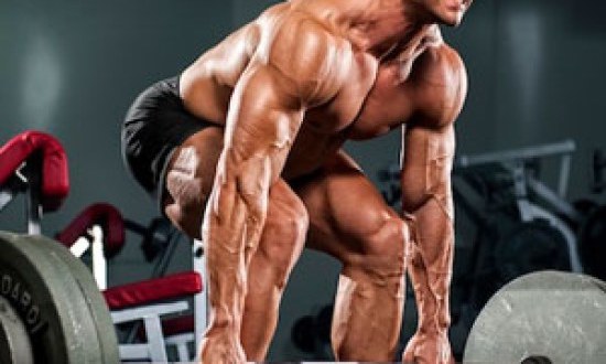 Το TOP 5 των ασκήσεων για μυϊκή ανάπτυξη !!!