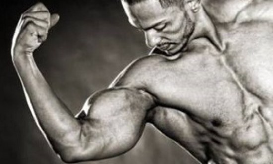 &Delta;&iota;&kappa;έ&phi;&alpha;&lambda;&omicron;&iota;: &Tau;&alpha; &omicron;&phi;έ&lambda;&eta; &tau;&omega;&nu; &alpha;&nu;&tau;ί&sigma;&tau;&rho;&omicron;&phi;&omega;&nu; &kappa;ά&mu;&psi;&epsilon;&omega;&nu;