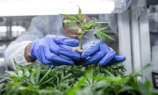 &Omicron; &Omicron;&Eta;&Epsilon; &alpha;&phi;&alpha;ί&rho;&epsilon;&sigma;&epsilon; &tau;&eta;&nu; &kappa;ά&nu;&nu;&alpha;&beta;&eta; &alpha;&pi;ό &tau;&eta; &lambda;ί&sigma;&tau;&alpha; &mu;&epsilon; &tau;&alpha; &epsilon;&pi;&iota;&kappa;ί&nu;&delta;&upsilon;&nu;&alpha; &nu;&alpha;&rho;&kappa;&omega;&tau;&iota;&kappa;ά