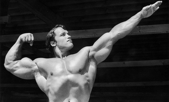 &Eta; &alpha;&gamma;&alpha;&pi;&eta;&mu;έ&nu;&eta; ά&sigma;&kappa;&eta;&sigma;&eta; &tau;&omicron;&upsilon; Arnold Schwarzenegger &gamma;&iota;&alpha; &sigma;&tau;ή&theta;&omicron;&sigmaf;, &pi;&lambda;ά&tau;&eta; &kappa;&alpha;&iota; &kappa;&omicron;&iota;&lambda;&iota;&alpha;&kappa;&omicron;ύ&sigmaf;