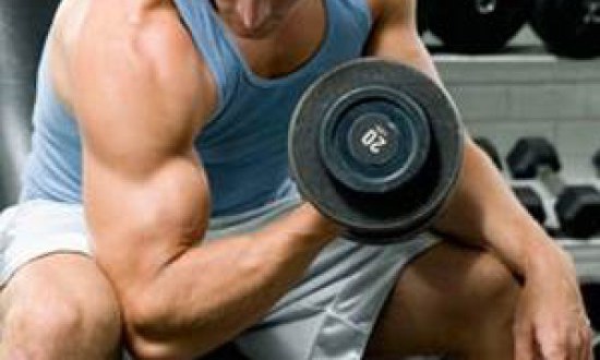 Η ΠΡΟΠΟΝΗΣΗ ΜΕ ΒΑΡΗ ΚΑΙ ΠΟΛΛΕΣ ΕΠΑΝΑΛΗΨΕΙΣ ΜΕΙΩΝΕΙ ΤΗ ∆ΥΝΑΜΗ ΤΩΝ ΑΝΑΠΝΕΥΣΤΙΚΩΝ ΜΥΩΝ