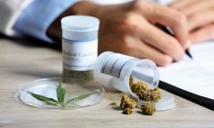 &Tau;&iota; &epsilon;ί&nu;&alpha;&iota; &tau;&alpha; &Kappa;&alpha;&nu;&nu;&alpha;&beta;&iota;&nu;&omicron;&epsilon;&iota;&delta;ή &amp; &Gamma;&iota;&alpha;&tau;ί &epsilon;ί&nu;&alpha;&iota; &sigma;&eta;&mu;&alpha;&nu;&tau;&iota;&kappa;ά &gamma;&iota;&alpha; &tau;&omicron;&nu; &omicron;&rho;&gamma;&alpha;&nu;&iota;&sigma;&mu;ό &mu;&alpha;&sigmaf;