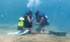 &Eta; &pi;&rho;ώ&tau;&eta; &upsilon;&pi;&omicron;&beta;&rho;ύ&chi;&iota;&alpha; &tau;&alpha;&iota;&nu;ί&alpha; &epsilon;&nu;&eta;&lambda;ί&kappa;&omega;&nu; &kappa;&upsilon;&kappa;&lambda;&omicron;&phi;&omicron;&rho;&epsilon;ί &kappa;&alpha;&iota; &delta;&epsilon;&nu; &sigma;&alpha;&sigmaf; &kappa;ά&nu;&omicron;&upsilon;&mu;&epsilon; &pi;&lambda;ά&kappa;&alpha;!