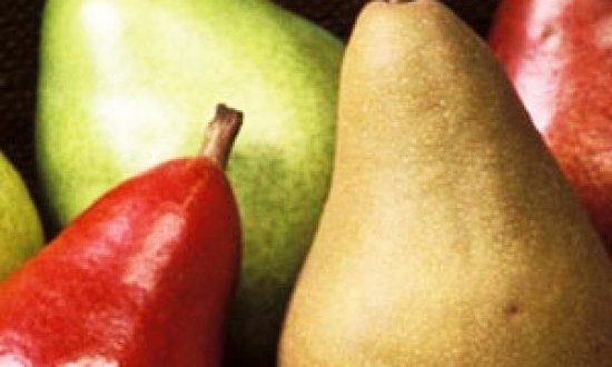 6 μαγικές τροφές λιποδιαλύτες για καύσεις στο full !!!