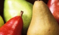 6 &mu;&alpha;&gamma;&iota;&kappa;έ&sigmaf; &tau;&rho;&omicron;&phi;έ&sigmaf; &lambda;&iota;&pi;&omicron;&delta;&iota;&alpha;&lambda;ύ&tau;&epsilon;&sigmaf; &gamma;&iota;&alpha; &kappa;&alpha;ύ&sigma;&epsilon;&iota;&sigmaf; &sigma;&tau;&omicron; full !!!