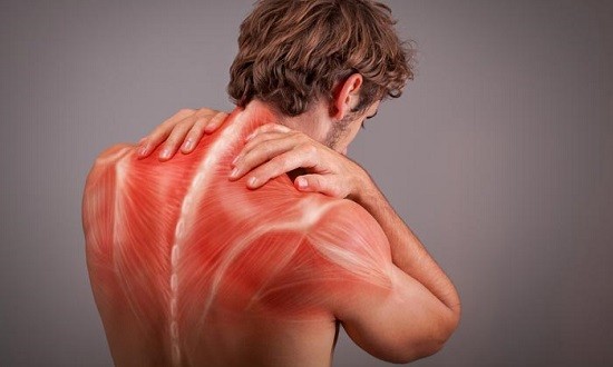 &Mu;&upsilon;ϊ&kappa;ή &kappa;ό&pi;&omega;&sigma;&eta; &kappa;&alpha;&iota; &pi;ό&nu;&omicron;&sigmaf; &pi;&rho;&omicron;&kappa;&alpha;&lambda;&omicron;ύ&nu;&tau;&alpha;&iota; &alpha;&pi;ό &tau;&omicron; &gamma;&alpha;&lambda;&alpha;&kappa;&tau;&iota;&kappa;ό &omicron;&xi;ύ