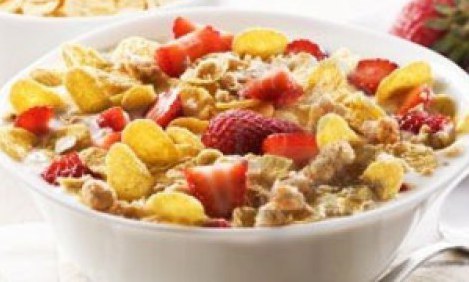 &Omicron;&iota; 6 &kappa;&omicron;&rho;&upsilon;&phi;&alpha;ί&epsilon;&sigmaf; &tau;&rho;&omicron;&phi;έ&sigmaf; &gamma;&iota;&alpha; &nu;&alpha; "&beta;ά&lambda;&epsilon;&iota;&sigmaf; &phi;&omega;&tau;&iota;ά" &sigma;&tau;&omicron; &lambda;ί&pi;&omicron;&sigmaf; &tau;&eta;&sigmaf; &kappa;&omicron;&iota;&lambda;&iota;ά&sigmaf; !!!