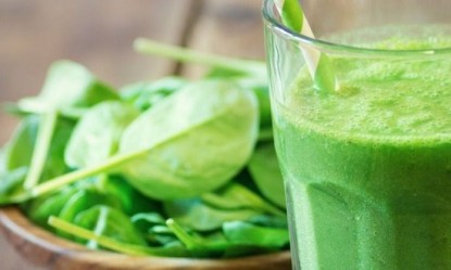 &Alpha;&upsilon;&tau;ό &epsilon;ί&nu;&alpha;&iota; &tau;&omicron; &phi;&upsilon;&tau;ό &tau;&eta;&sigmaf; &alpha;&nu;&tau;&iota;&gamma;ή&rho;&alpha;&nu;&sigma;&eta;&sigmaf; &kappa;&alpha;&iota; &tau;&eta;&sigmaf; &mu;&alpha;&kappa;&rho;&omicron;&zeta;&omega;ί&alpha;&sigmaf;