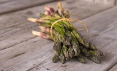 &Tau;&alpha; 7 &lambda;&alpha;&chi;&alpha;&nu;&iota;&kappa;ά &mu;&epsilon; &tau;&eta; &mu;&epsilon;&gamma;&alpha;&lambda;ύ&tau;&epsilon;&rho;&eta; &sigma;&upsilon;&gamma;&kappa;έ&nu;&tau;&rho;&omega;&sigma;&eta; &pi;&rho;&omega;&tau;&epsilon;ΐ&nu;&eta;&sigmaf;