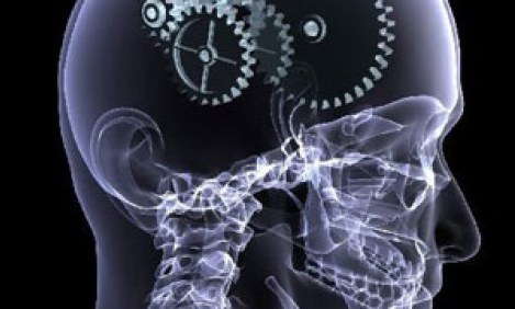 &Tau;&rho;ό&pi;&omicron;&iota; &gamma;&iota;&alpha; &nu;&alpha; &delta;&iota;&alpha;&tau;&eta;&rho;ή&sigma;&epsilon;&tau;&epsilon; &tau;&alpha; &kappa;ύ&tau;&tau;&alpha;&rho;&alpha; &tau;&omicron;&upsilon; &epsilon;&gamma;&kappa;&epsilon;&phi;ά&lambda;&omicron;&upsilon; &sigma;&alpha;&sigmaf; &sigma;&epsilon; ά&rho;&iota;&sigma;&tau;&eta; &kappa;&alpha;&tau;ά&sigma;&tau;&alpha;&sigma;&eta;