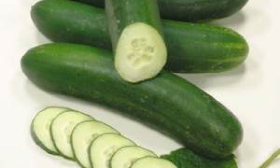 &Delta;ί&alpha;&iota;&tau;&epsilon;&sigmaf; &epsilon;&iota;&delta;&iota;&kappa;ώ&nu; &tau;&rho;&omicron;&phi;ώ&nu;