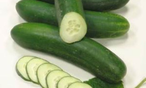 &Delta;ί&alpha;&iota;&tau;&epsilon;&sigmaf; &epsilon;&iota;&delta;&iota;&kappa;ώ&nu; &tau;&rho;&omicron;&phi;ώ&nu;