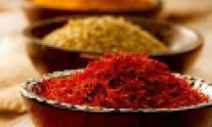 10 &mu;&pi;&alpha;&chi;&alpha;&rho;&iota;&kappa;ά &pi;&omicron;&upsilon; &epsilon;&upsilon;&nu;&omicron;&omicron;ύ&nu; &tau;&eta;&nu; &kappa;&alpha;ύ&sigma;&eta; &lambda;ί&pi;&omicron;&upsilon;&sigmaf;!