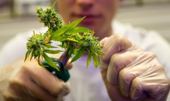 &Epsilon;ί&nu;&alpha;&iota; &tau;&omicron; HHC &eta; &nu;&omicron;&mu;&iota;&mu;&omicron;&pi;&omicron;ί&eta;&sigma;&eta; &tau;&eta;&sigmaf; &psi;&upsilon;&chi;&alpha;&gamma;&omega;&gamma;&iota;&kappa;ή&sigmaf; &kappa;ά&nu;&nu;&alpha;&beta;&eta;&sigmaf; &sigma;&tau;&eta;&nu; &Epsilon;&lambda;&lambda;&alpha;&delta;&alpha;;