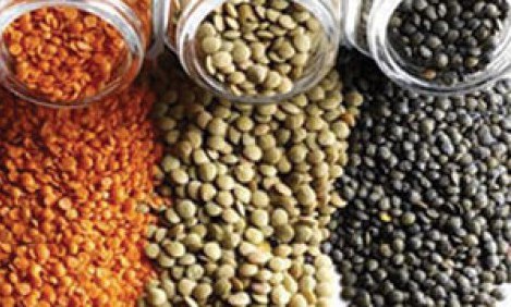 Ό&sigma;&pi;&rho;&iota;&alpha;: &Omicron;&iota;&kappa;&omicron;&nu;&omicron;&mu;&iota;&kappa;ά &kappa;&alpha;&iota; &upsilon;&gamma;&iota;&epsilon;&iota;&nu;ά!