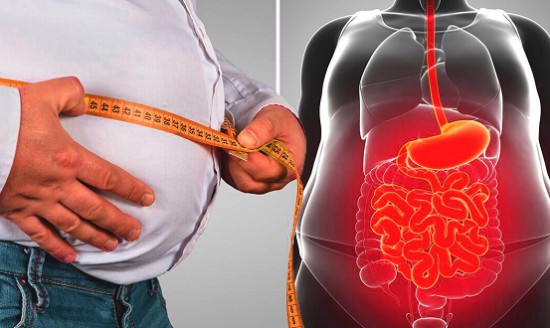 &Tau;&iota; &epsilon;ί&nu;&alpha;&iota; &tau;&omicron; &sigma;&pi;&lambda;&alpha;&chi;&nu;&iota;&kappa;ό &lambda;ί&pi;&omicron;&sigmaf; &kappa;&alpha;&iota; &pi;&omega;&sigmaf; &mu;&epsilon;&iota;ώ&nu;&epsilon;&tau;&alpha;&iota;;