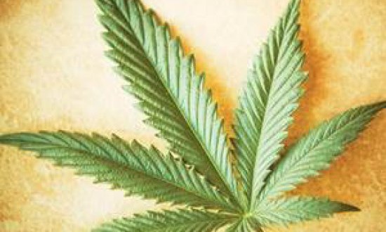 &Eta; &laquo;&Phi;&upsilon;&sigma;&iota;&kappa;ή &Mu;&alpha;&rho;&iota;&chi;&omicron;&upsilon;ά&nu;&alpha;&raquo; &tau;&omicron;&upsilon; &sigma;ώ&mu;&alpha;&tau;&omicron;&sigmaf; &kappa;&alpha;&iota; &eta; &alpha;&pi;ώ&lambda;&epsilon;&iota;&alpha; &beta;ά&rho;&omicron;&upsilon;&sigmaf;