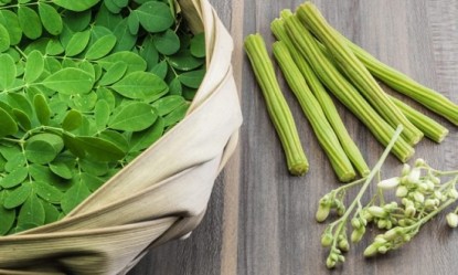 Moringa: &Tau;&omicron; &laquo;&delta;έ&nu;&tau;&rho;&omicron;-&theta;&alpha;ύ&mu;&alpha;&raquo; &epsilon;ί&nu;&alpha;&iota; &tau;&omicron; &nu;έ&omicron; superfood