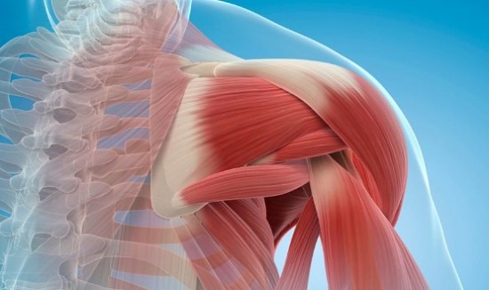 &Sigma;&kappa;&epsilon;&lambda;&epsilon;&tau;&iota;&kappa;ό&sigmaf; &mu;&upsilon;&sigmaf; &kappa;&alpha;&iota; &delta;&epsilon;ί&kappa;&tau;&epsilon;&sigmaf;: &Pi;&omicron;&iota;&omicron;&sigmaf; &omicron; &rho;ό&lambda;&omicron;&sigmaf; &tau;&eta;&sigmaf; &Mu;&epsilon;&sigma;&omicron;&gamma;&epsilon;&iota;&alpha;&kappa;ή&sigmaf; &Delta;&iota;&alpha;&tau;&rho;&omicron;&phi;ή&sigmaf;;