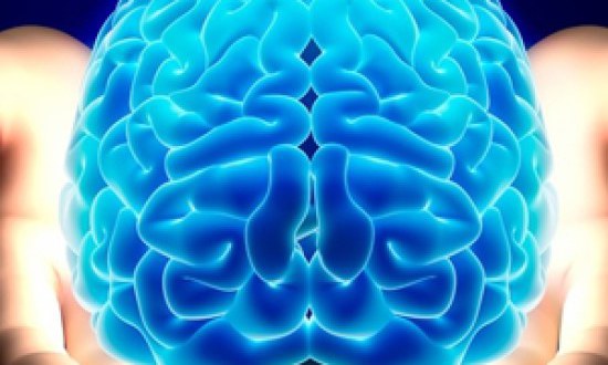 Τεστ: Δείτε ποιο ημισφαίριο του εγκεφάλου σας είναι κυρίαρχο