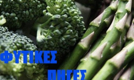 &Omicron;&iota; 8 &kappa;&alpha;&lambda;ύ&tau;&epsilon;&rho;&epsilon;&sigmaf; &tau;&rho;&omicron;&phi;έ&sigmaf;-&phi;&upsilon;&tau;&iota;&kappa;έ&sigmaf; &pi;&eta;&gamma;έ&sigmaf; &pi;&rho;&omega;&tau;&epsilon;ΐ&nu;&eta;&sigmaf; !!!