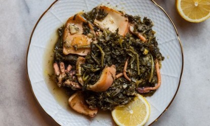 Xό&rho;&tau;&alpha;: &Mu;&iota;&alpha; &alpha;&kappa;&alpha;&lambda;&lambda;&iota;έ&rho;&gamma;&eta;&tau;&eta; &tau;&rho;&omicron;&phi;ή &pi;&lambda;&omicron;ύ&sigma;&iota;&alpha; &sigma;&epsilon; &theta;&rho;&epsilon;&pi;&tau;&iota;&kappa;ή &alpha;&xi;ί&alpha;