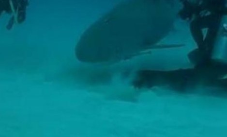 Έ&nu;&alpha; &sigma;&pi;&omicron;&rho; &delta;&iota;&alpha;&phi;&omicron;&rho;&epsilon;&tau;&iota;&kappa;ό &alpha;&pi;ό &tau;&alpha; ά&lambda;&lambda;&alpha;