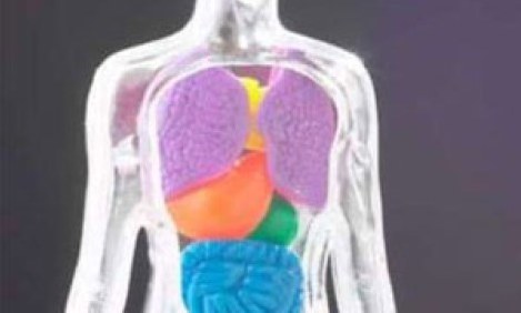 &Eta; &kappa;&alpha;&lambda;ή &upsilon;&gamma;&epsilon;ί&alpha; &pi;&rho;&omicron;ϋ&pi;&omicron;&theta;έ&tau;&epsilon;&iota; &nu;&alpha; &alpha;&kappa;&omicron;ύ&mu;&epsilon; &tau;&alpha; &mu;&eta;&nu;ύ&mu;&alpha;&tau;&alpha; &tau;&omicron;&upsilon; &sigma;ώ&mu;&alpha;&tau;ό&sigmaf; &mu;&alpha;&sigmaf;