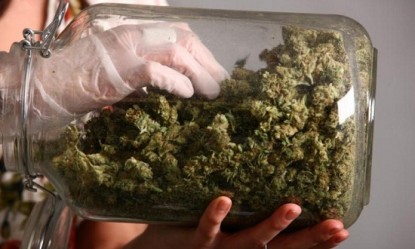 Kά&nu;&nu;&alpha;&beta;&eta; &kappa;&alpha;&iota; &kappa;&alpha;&rho;&kappa;ί&nu;&omicron;&sigmaf;: &Tau;&alpha; &epsilon;&rho;&epsilon;&upsilon;&nu;&eta;&tau;&iota;&kappa;ά &delta;&epsilon;&delta;&omicron;&mu;έ&nu;&alpha; &alpha;&pi;ό &tau;&iota;&sigmaf; &Eta;.&Pi;.&Alpha;