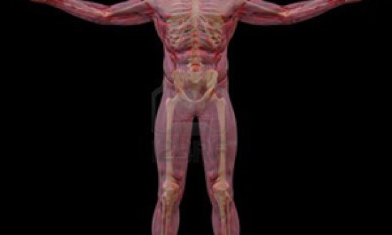 10 "αιώνια" ερωτήματα για το σώμα βρίσκουν απαντήσεις