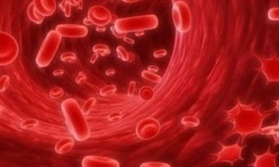 8 τρόποι για να αυξήσετε τον αριθμό των λευκών αιμοσφαιρίων