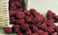 &Tau;&rho;&epsilon;&iota;&sigmaf; &chi;&omicron;&upsilon;&rho;&mu;ά&delta;&epsilon;&sigmaf; &tau;&eta;&nu; &eta;&mu;έ&rho;&alpha; ό&tau;&iota; &pi;&rho;έ&pi;&epsilon;&iota; &gamma;&iota;&alpha; &tau;&eta;&nu; &upsilon;&gamma;&epsilon;ί&alpha; &sigma;&alpha;&sigmaf;