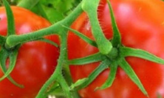 &Eta; &epsilon;&upsilon;&epsilon;&rho;&gamma;&epsilon;&tau;&iota;&kappa;ή &alpha;&xi;ί&alpha; &tau;&eta;&sigmaf; &nu;&tau;&omicron;&mu;ά&tau;&alpha;&sigmaf;